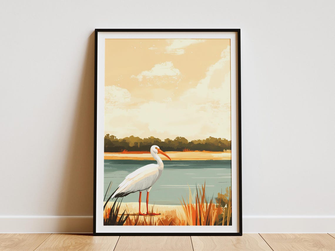 White Ibis Wading at a River Estuary Coastal Bird Art Poster
