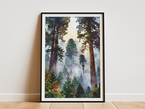 Redwood National Park Misty Forest Tall Trees Sunlight Art Poster
