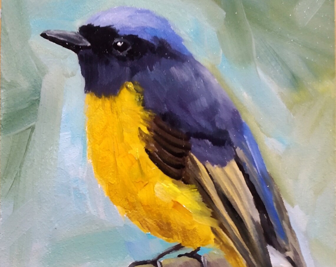 Blue Headed Yellow Breasted Songbird Tiny Oil Painting Poster