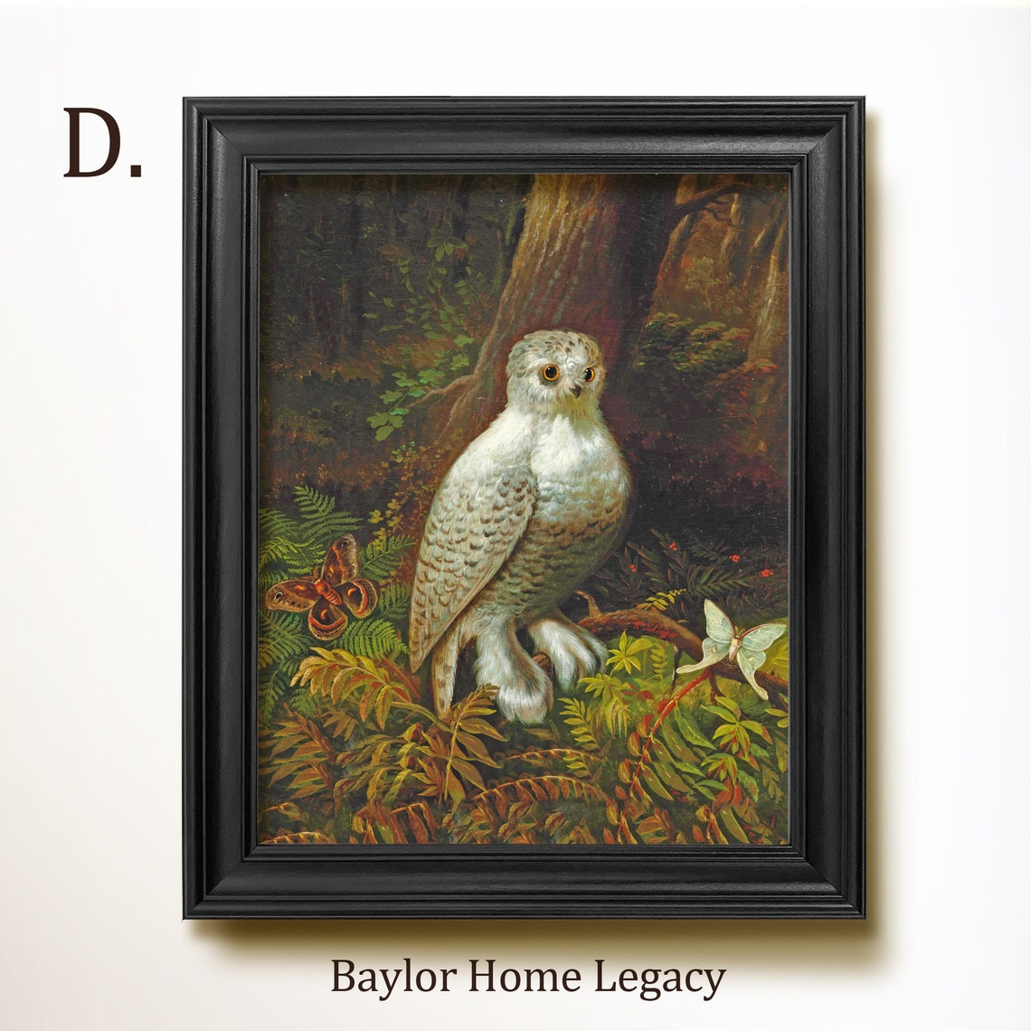 Snowy Owl With Moths In Dark Forest Vintage Bird Painting Art Print - Image 2