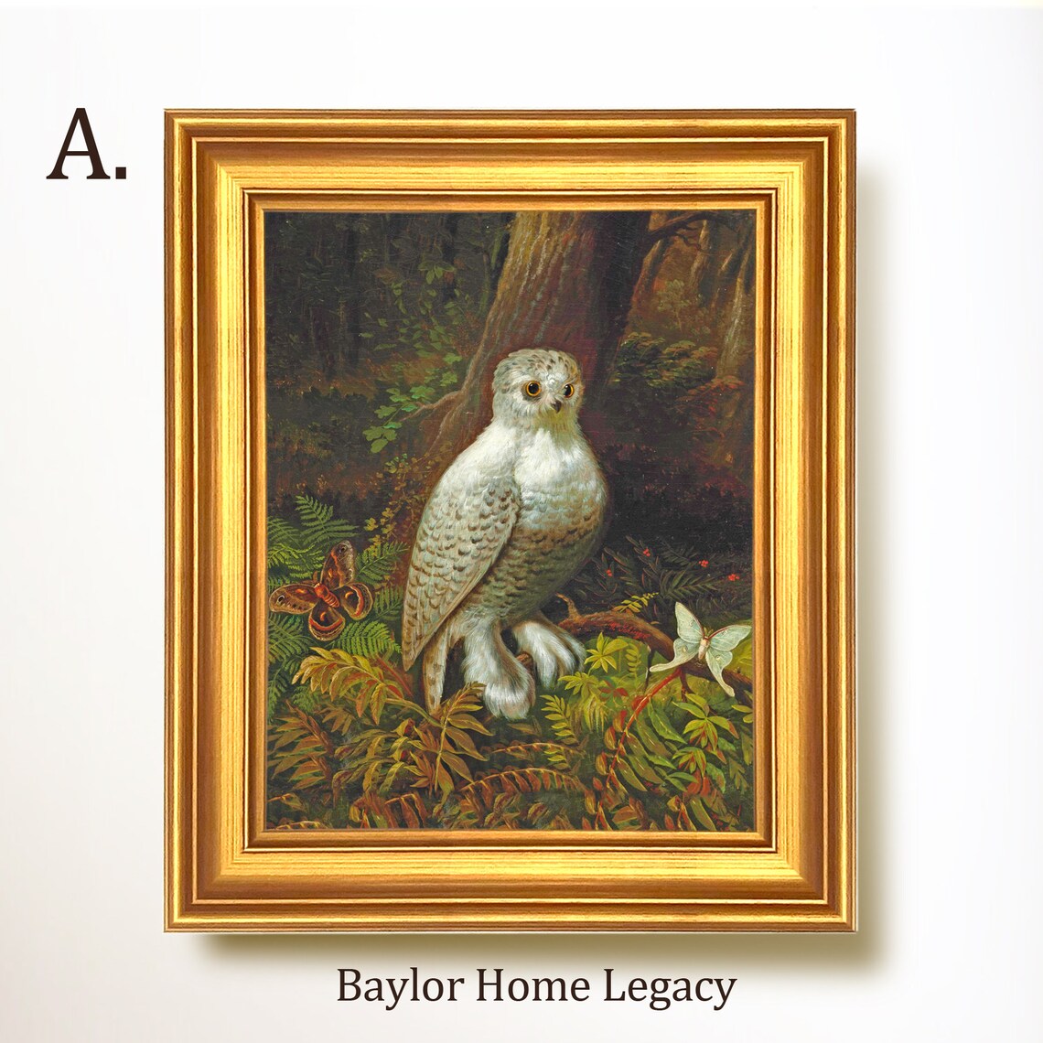 Snowy Owl With Moths In Dark Forest Vintage Bird Painting Art Print - Image 5