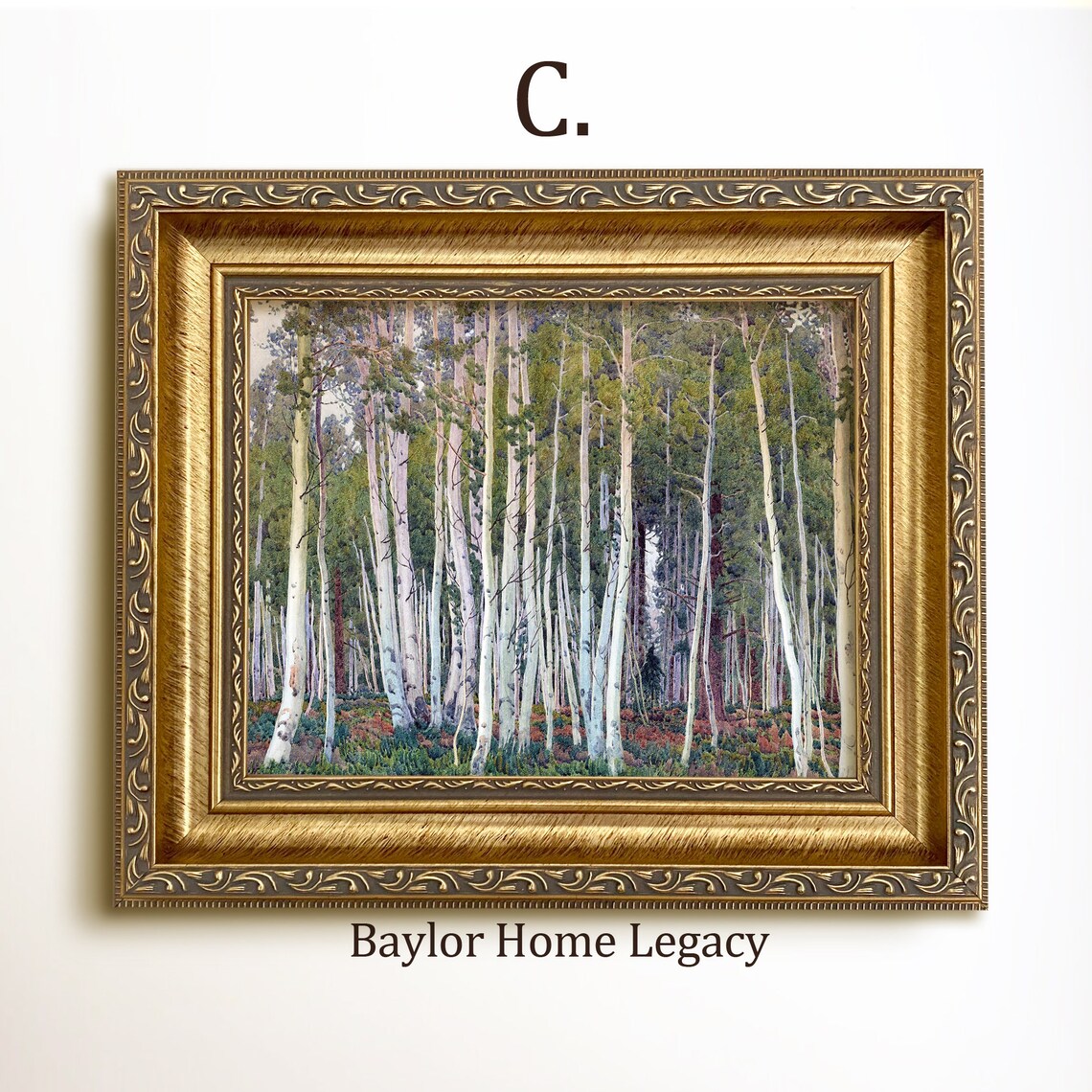 Tall White Aspen Trees Forest Watercolor Woodland Nature Scene Poster - Image 3