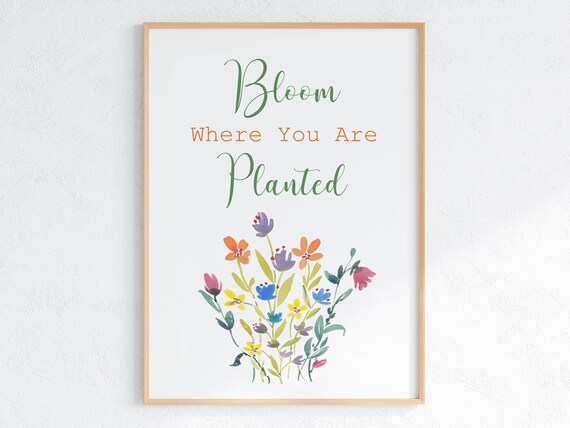 Bloom Where You Are Planted Quote Art Print