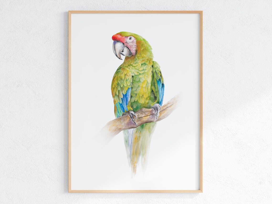 Green Macaw Parrot Watercolor Perched on a Wooden Branch Wall Art