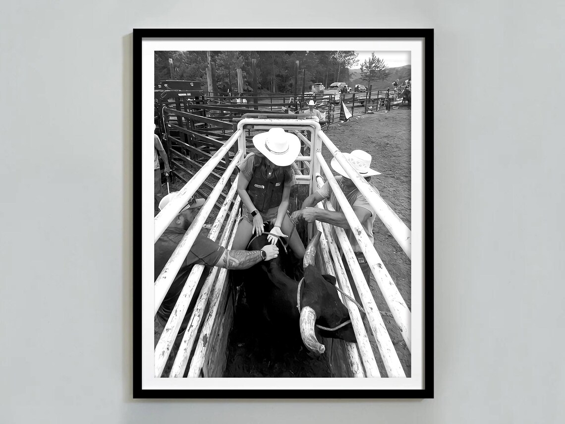 Cowgirl Bull Riding Rodeo Chute Black And White Western Poster