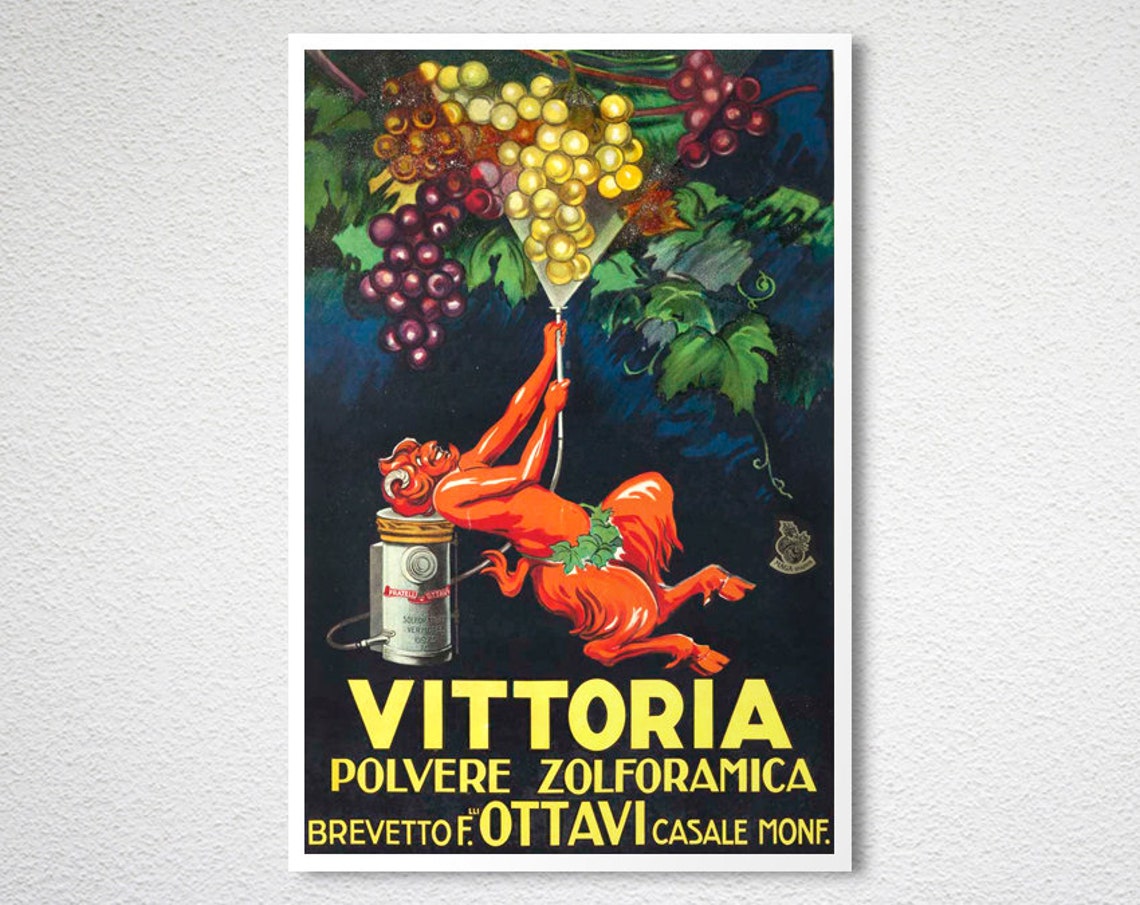 Vittoria Ottavi Sulfur Powder Red Demon Grape Vine Ad Poster - Image 2