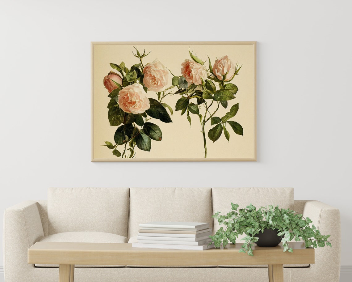 Cream Garden Rose Stems Vintage Botanical Illustration Poster - Image 3