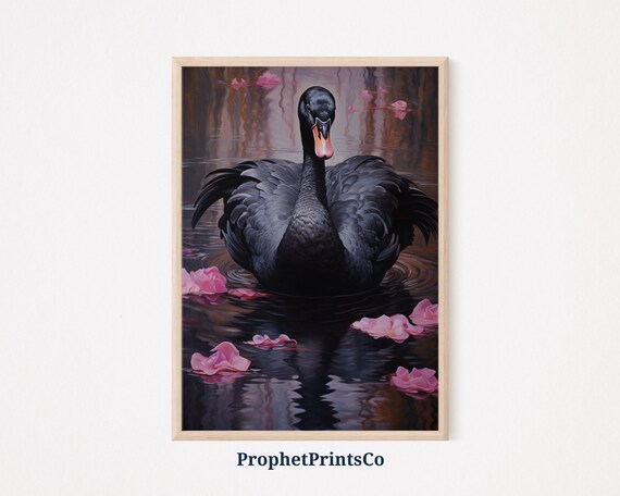 Graceful Black Swan Floating Petals Dark Water Painting Poster