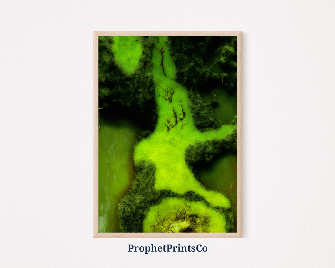 Vivid Emerald Marsh Wetland Abstract Aerial Nature Art Poster