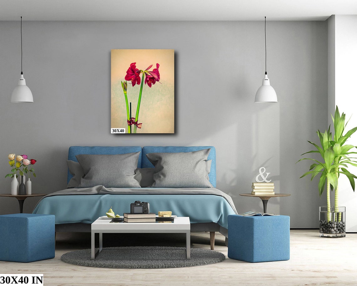 Red Amaryllis Bloom Close Up Elegant Floral Botanical Art Poster - Image 5