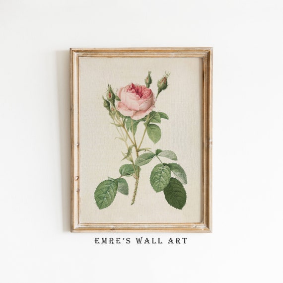 Vintage Rose Print, Antique Floral Wall Art