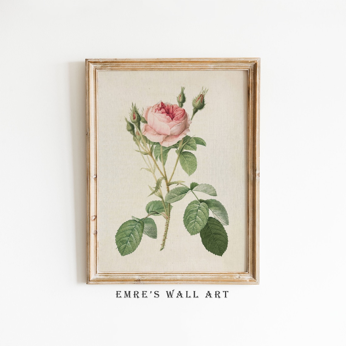 Vintage Rose Print, Antique Floral Wall Art