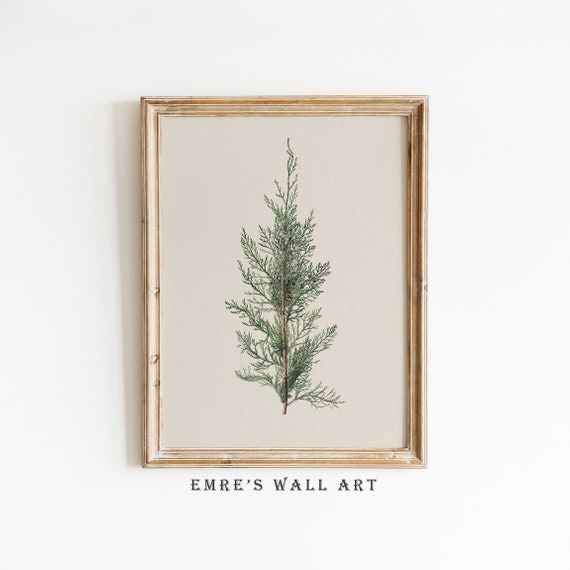 Vintage Tree Branch Art Print, Winter Botanical