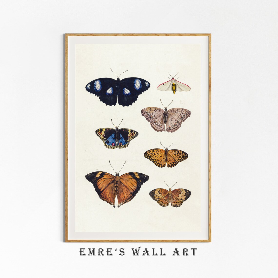 Vintage Butterfly Poster, Butterfly Drawing Art Print - Image 4