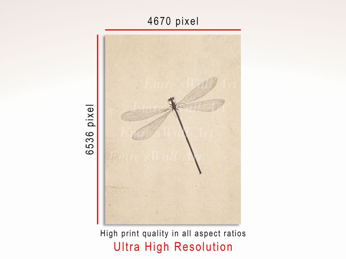 Dragonfly Vintage Sketch Art Print, Antique Sketch - Image 3