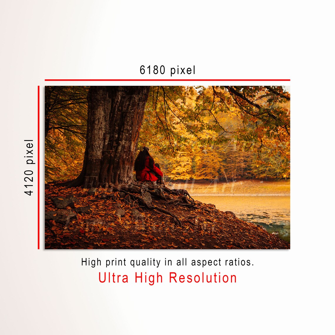 Woman in Red Coat Autumn Tree Golden Lake Shore Photo Poster - Image 3