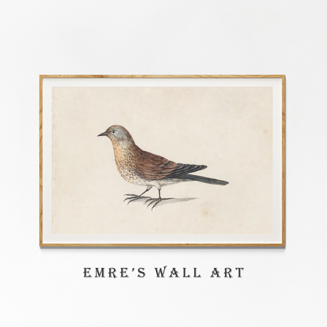 Vintage Bird Drawing, Farmhouse Bird Art Print - Image 4