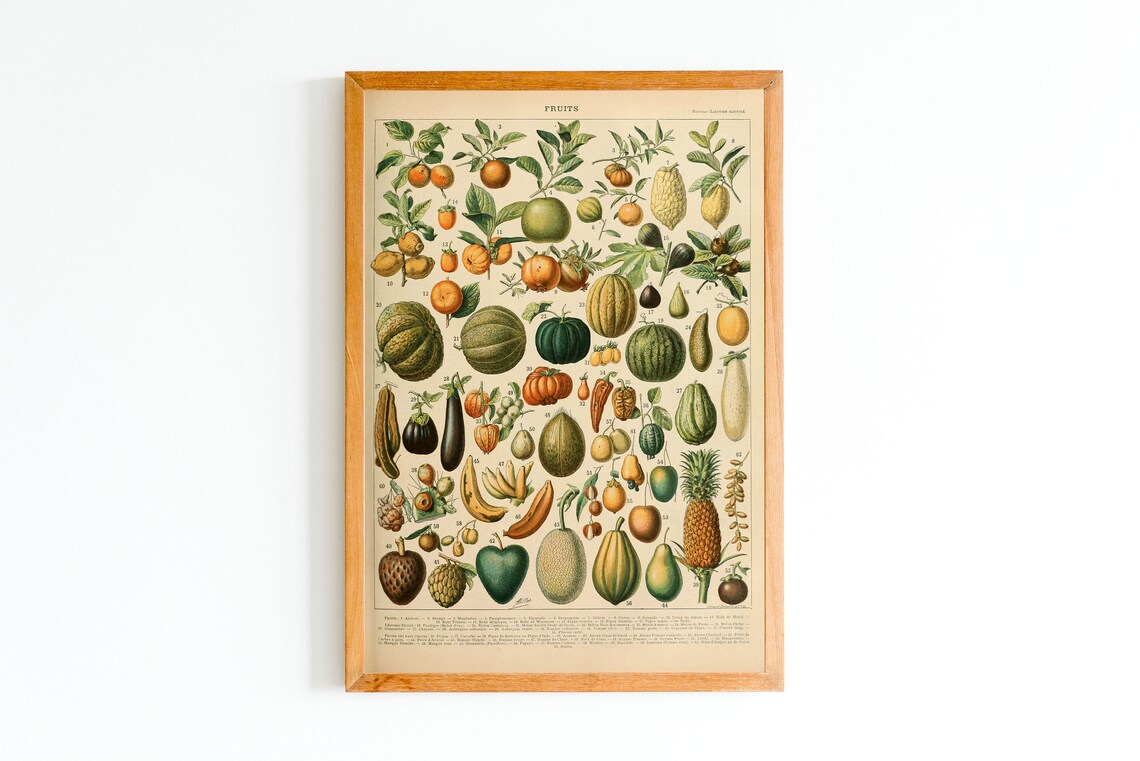 Vintage Fruit And Vegetable Botanical Kitchen Art Print Set - Image 2