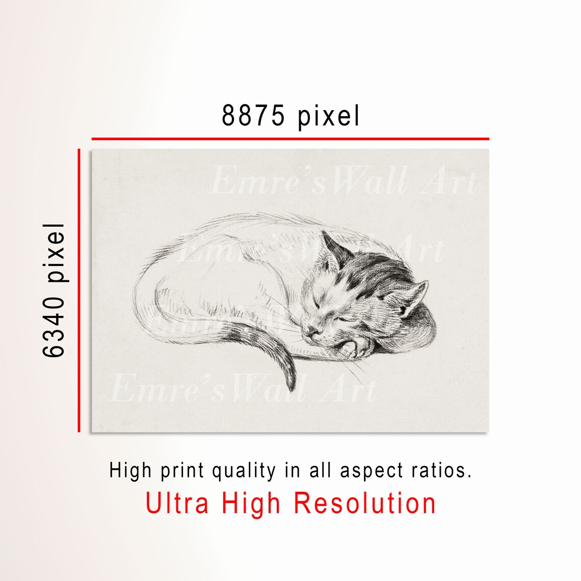 Sleeping Cat Vintage Sketch Art Print, Antique Pet - Image 3