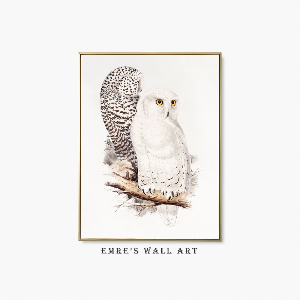 Two Snowy White Owls on Branch Vintage Bird Illustration Art Poster - Image 2