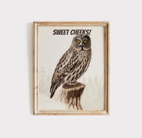 Owl Poster Animal Bathroom Wall Decor Bird Owl Art Bathroom Wall Art Owl Gift Print Funny Moody Bathroom Art Print