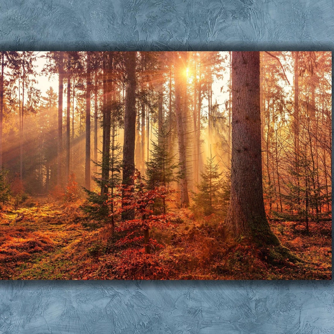 Autumn Woods Sun Rays Golden Forest Morning Light Nature Poster