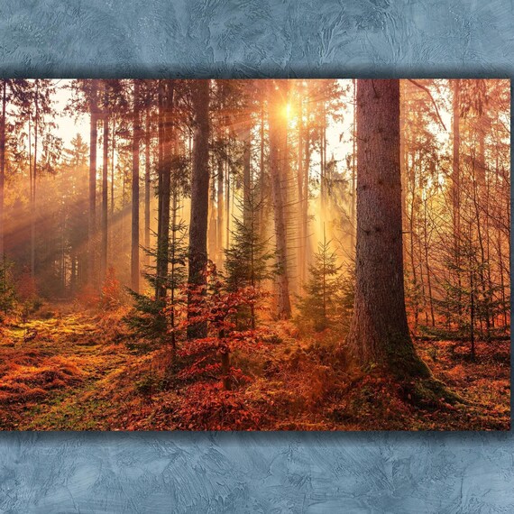 Autumn Woods Sun Rays Golden Forest Morning Light Nature Poster