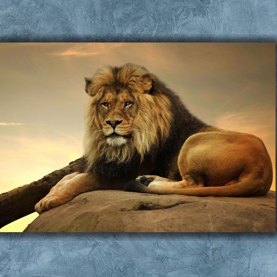 Majestic Male Lion On Rock At Golden Sunset Wildlife Photo Poster