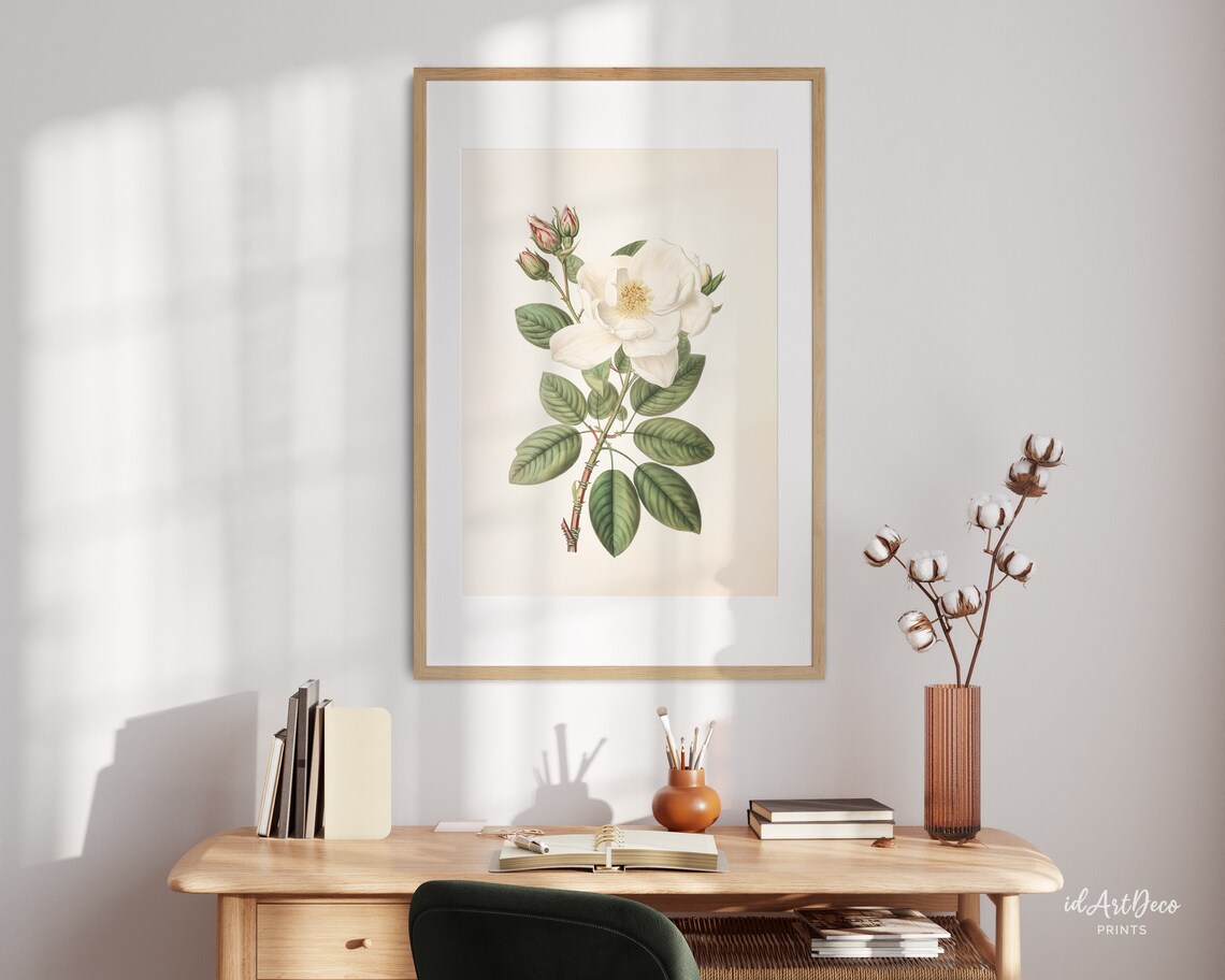 Vintage Rose Print, Antique Botanical Art Print - Image 2