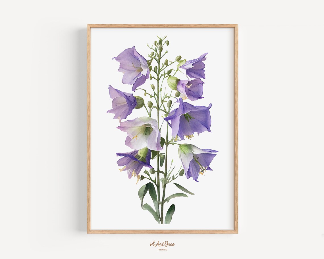 Watercolor Purple Bellflower Bloom Botanical Minimalist Art Poster