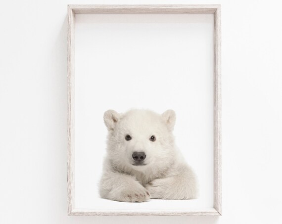Cute Polar Bear Cub Photo White Minimalist Nursery Animal Wall Poster