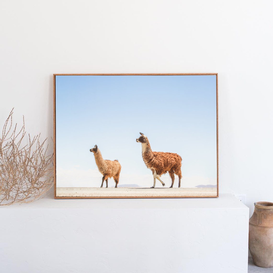 Two Llamas Walking the Salt Flats Under Blue Sky Photography Poster - Image 2