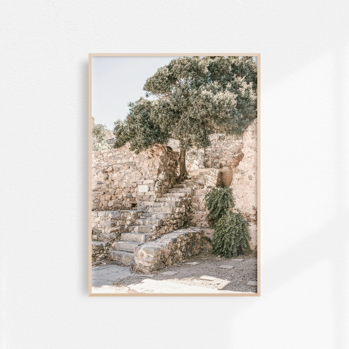 Rustic Tuscany Stone Stairs Ancient Olive Tree Old Walls Italy Poster