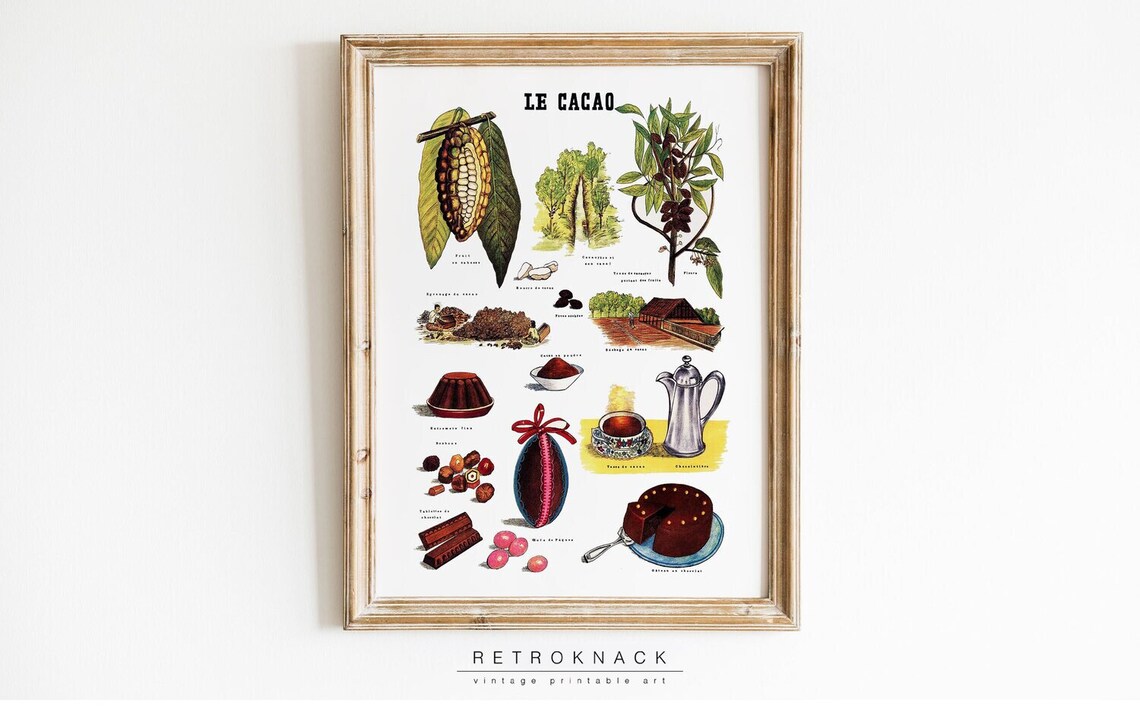 Le Cacao Vintage French Botanical Chart Cocoa Chocolate School Poster - Image 2
