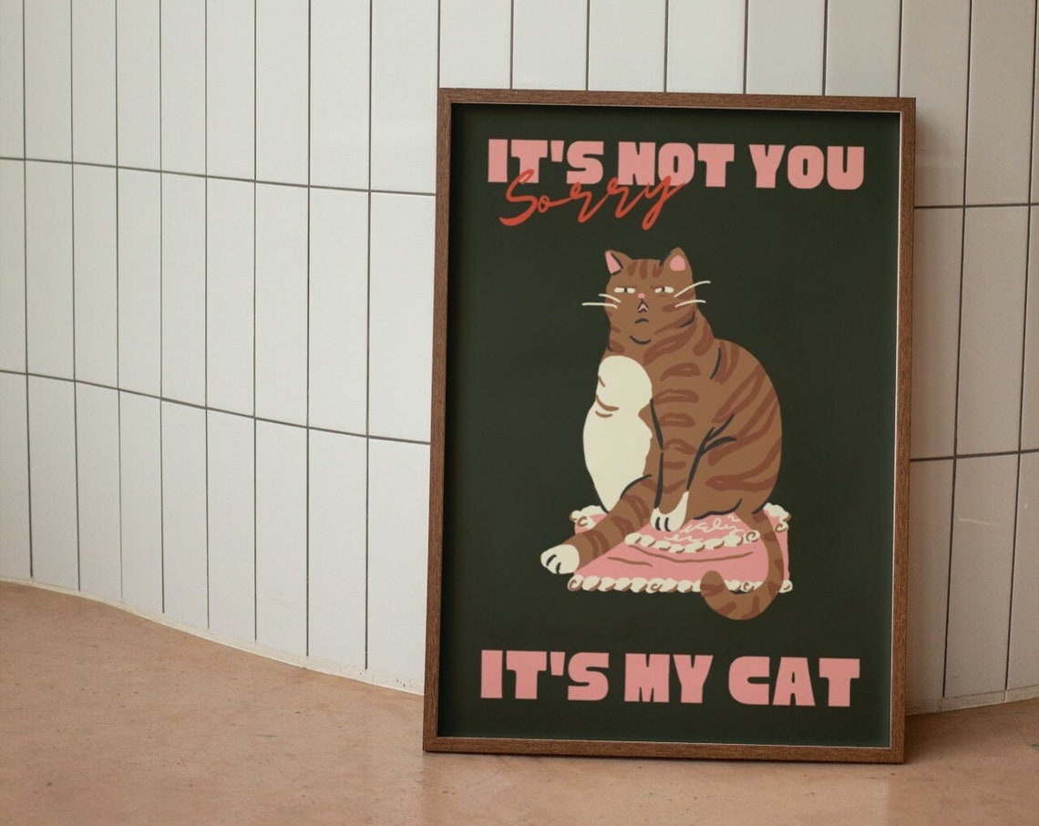Funny Sorry It's Not You It's My Cat Ginger Tabby Quote Poster
