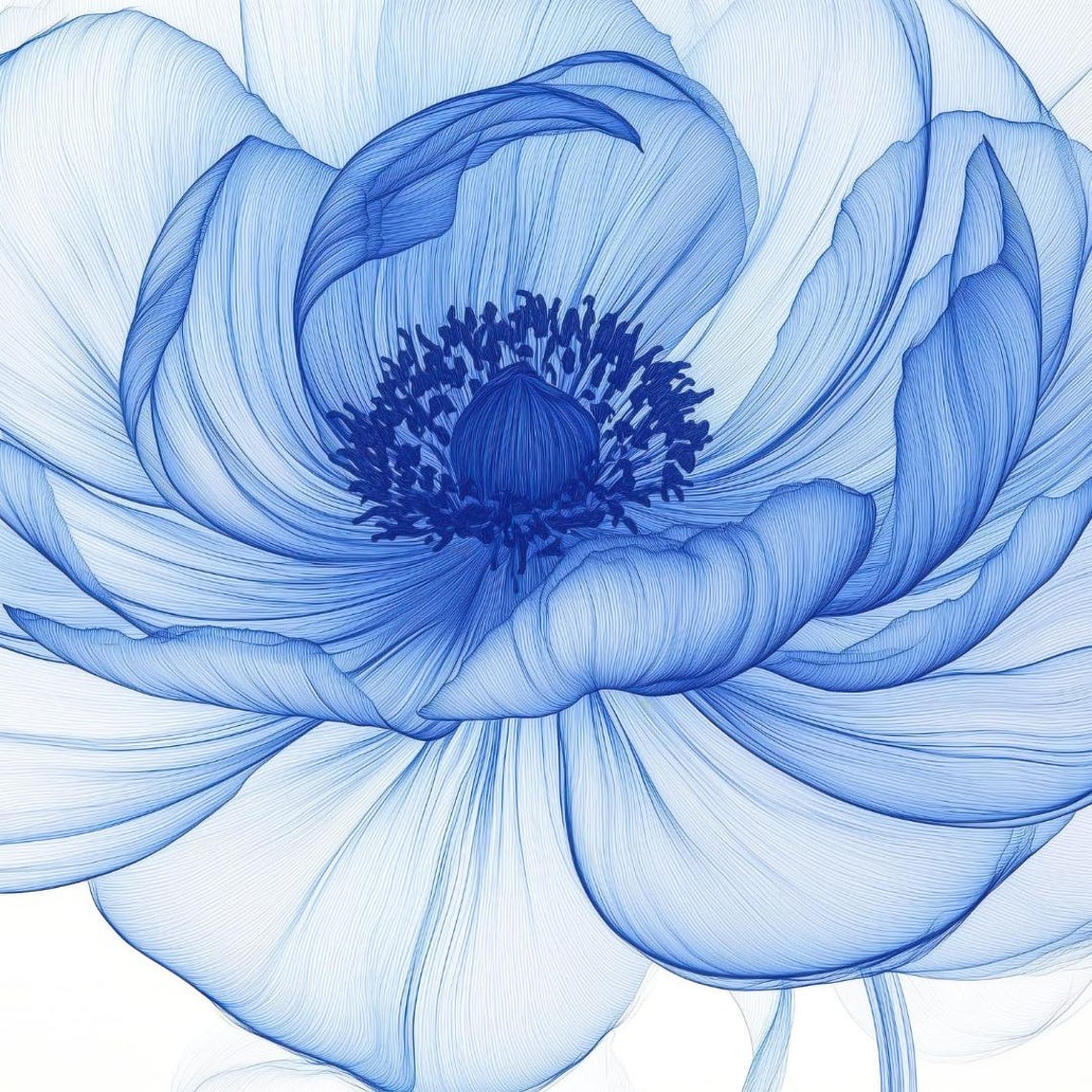 Translucent Blue Anemone Xray Flower Art Delicate Botanical Wall Print - Image 4