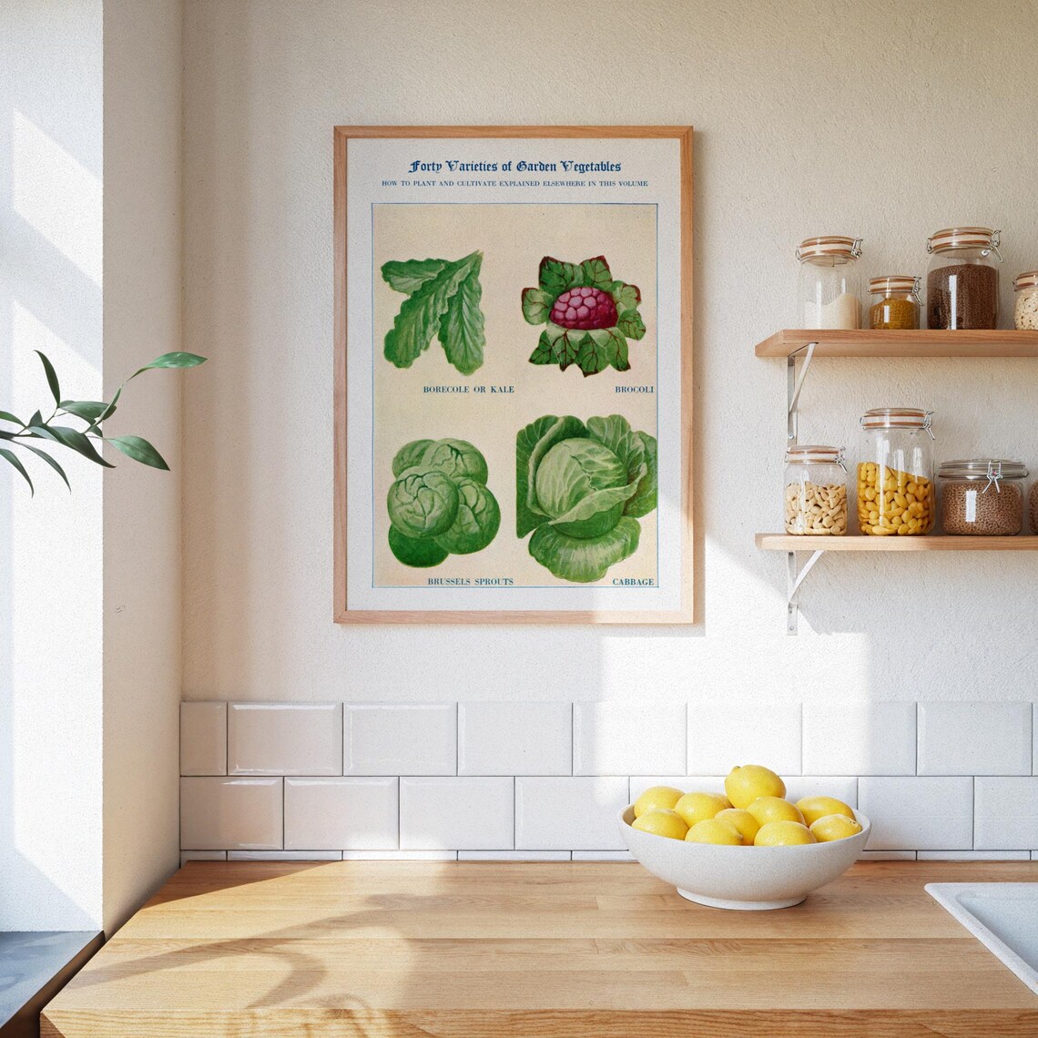 Vintage Botanical Vegetable Poster, Kitchen Decor - Image 3