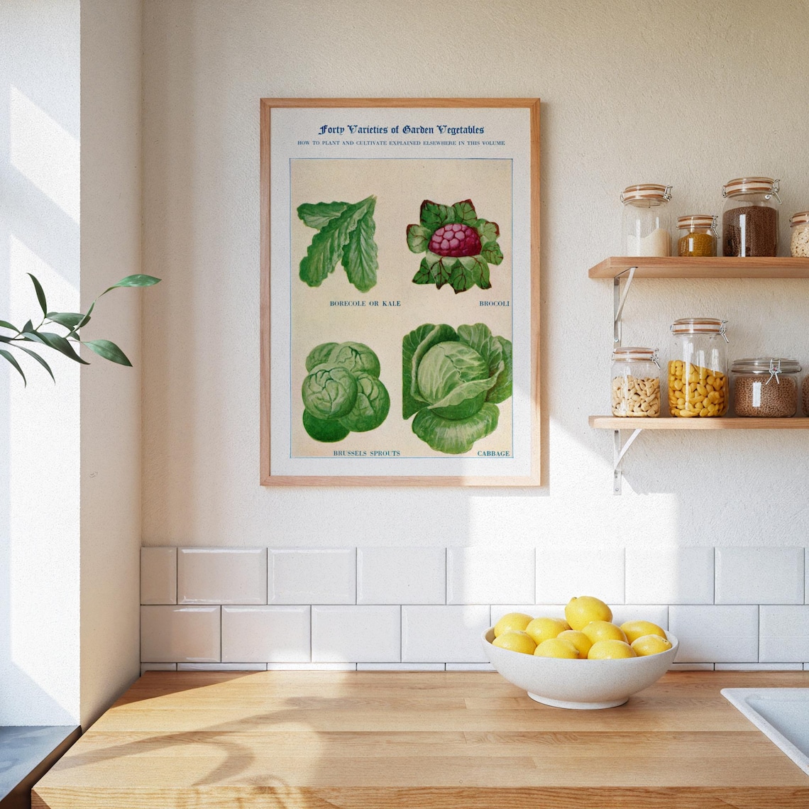 Vintage Botanical Vegetable Poster, Kitchen Wall Art - Image 3