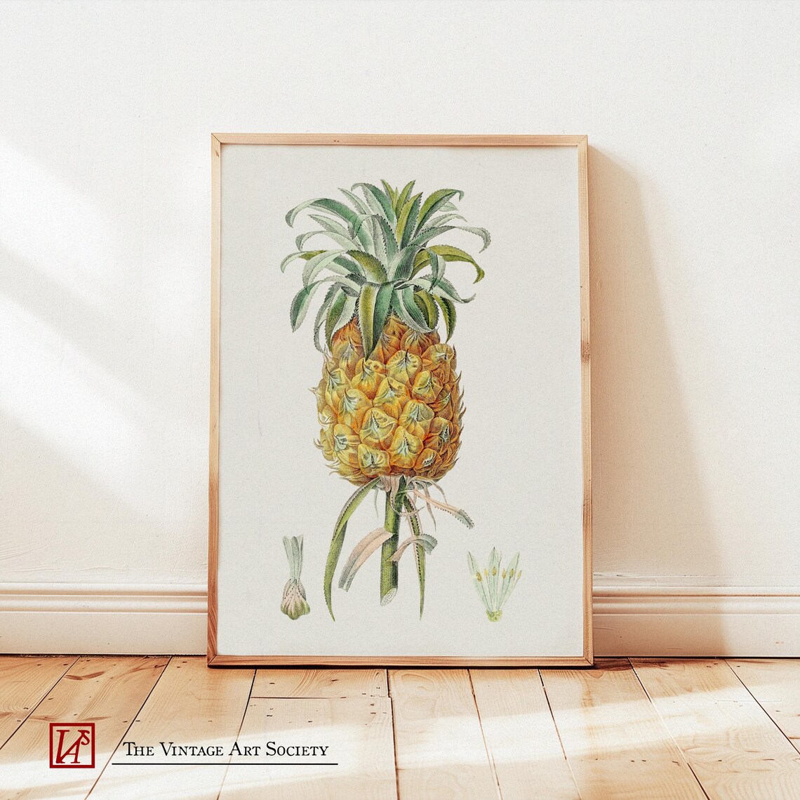 Old School Pineapple, Vintage Botanical Poster