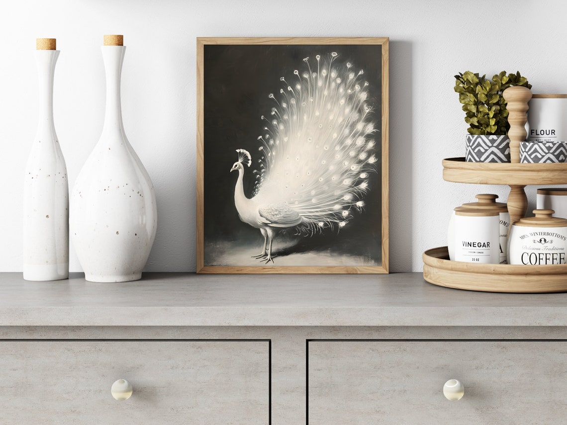 White Peacock Fanned Tail Feathers Dramatic Black Background Poster - Image 3