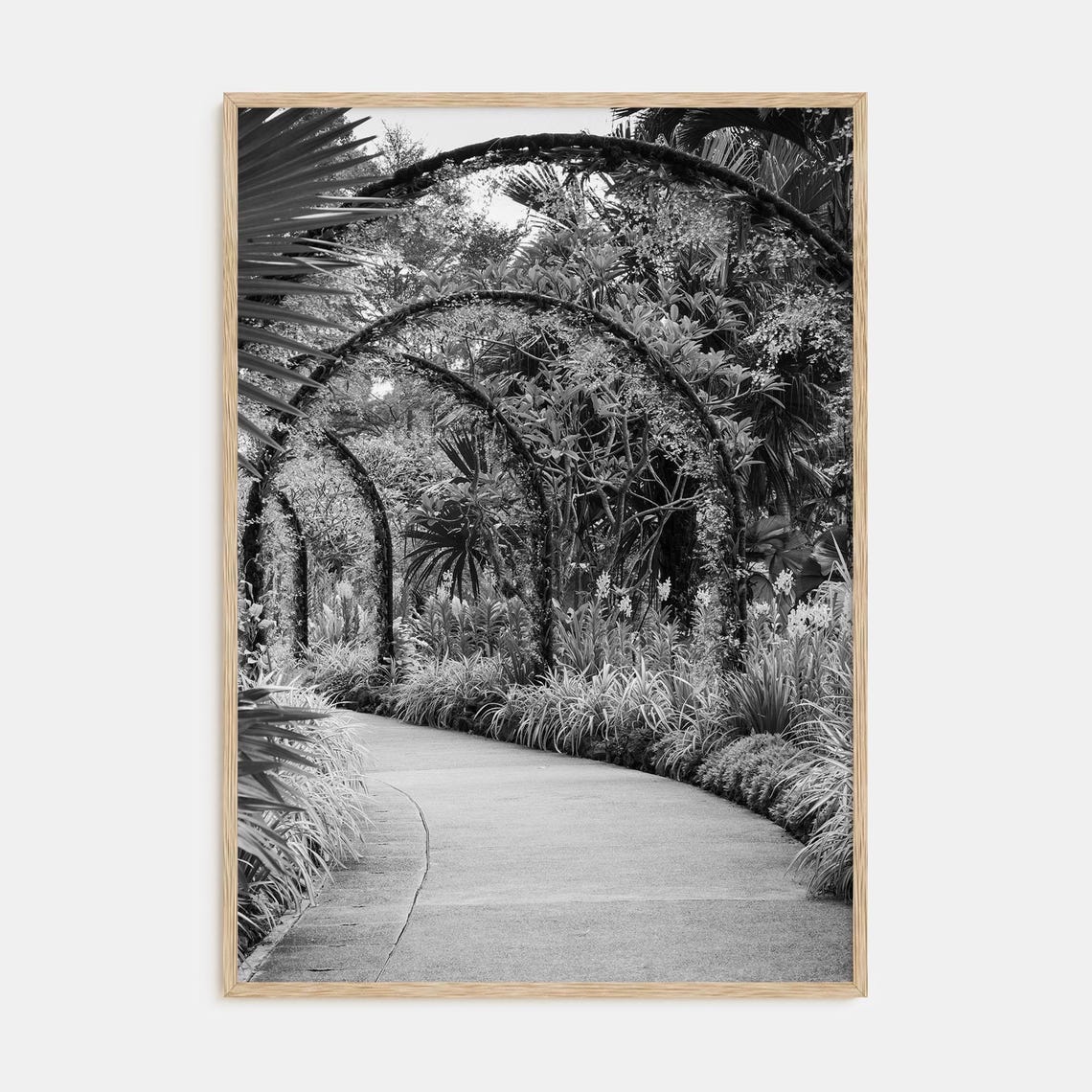 Lush Vine Covered Garden Arch Pathway Black and White Art Print