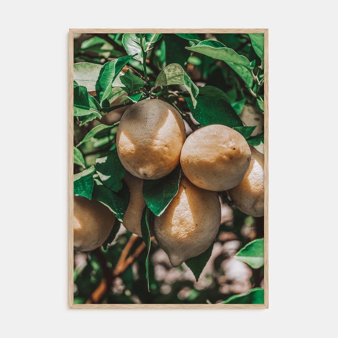 Lemon Tree Print Fine Art Color Photography Poster Vibrant Home Decor For Kitchen Dining