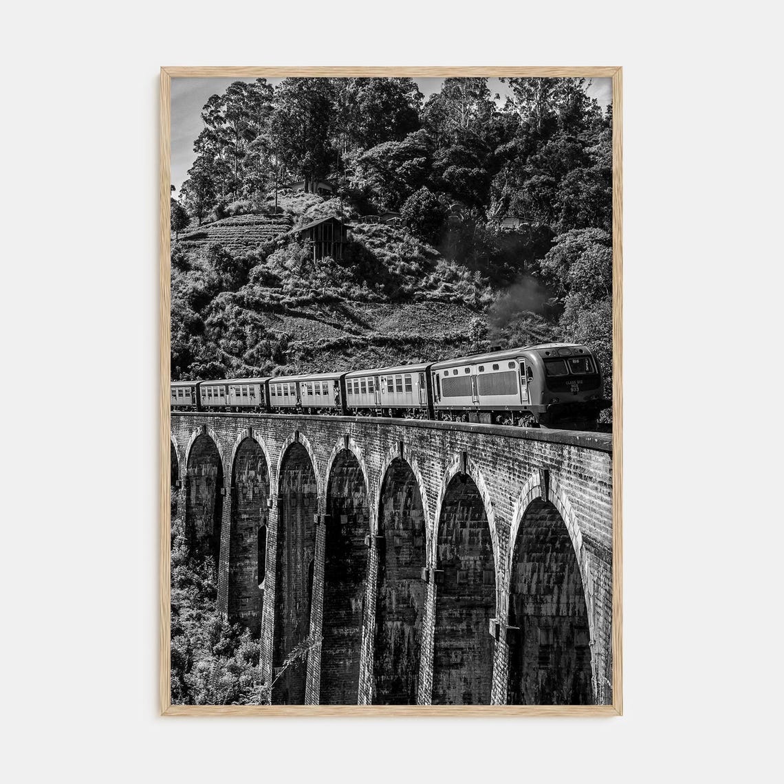 Fine Art Train Arch Bridge Print Black White Photography Poster For Home Decor Wall Art Vintage Train Lovers