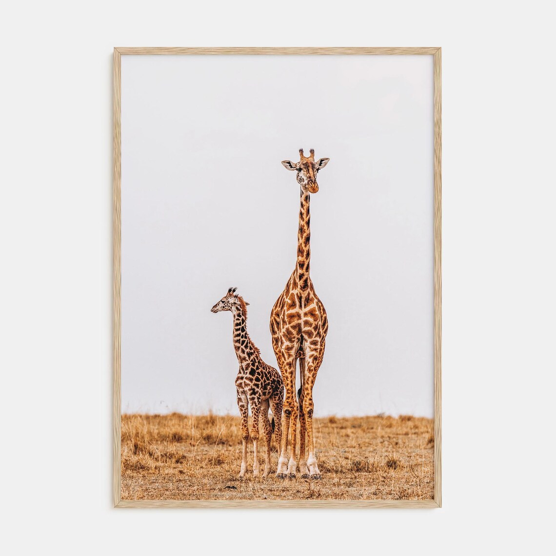 Giraffe Mother and Calf Standing on the Savanna Wildlife Poster
