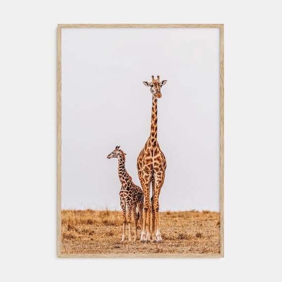 Giraffe Mother and Calf Standing on the Savanna Wildlife Poster