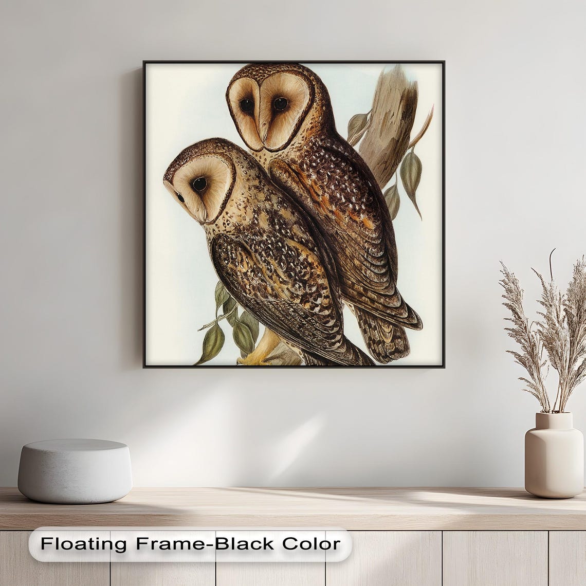 Vintage Owl Pair Barn Owl Wildlife Illustration Natural History Print