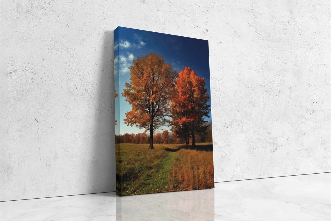 Autumn Maple Trees Colorful Fall Foliage Meadow Golden Season Poster - Image 4