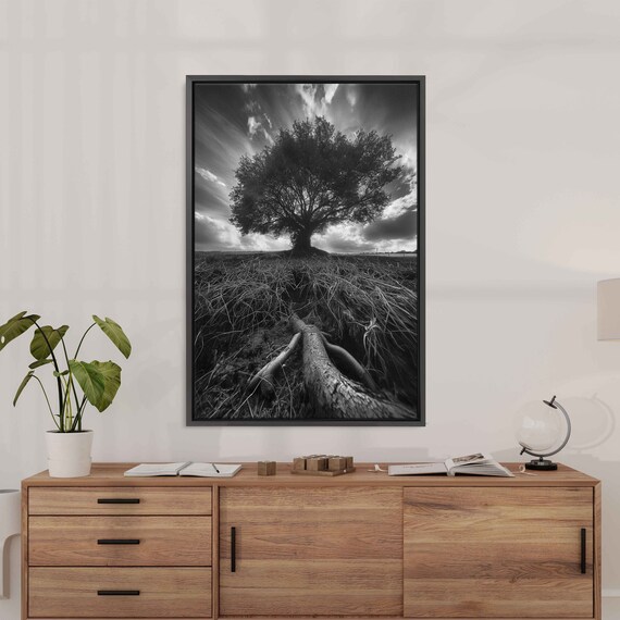 Lone Tree In Middle Of Field With Roots Showing And Sun Shining In Background Photograph Wall Art Print Ready To Hang
