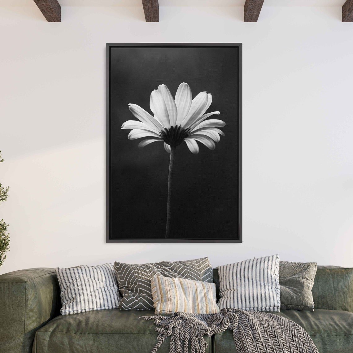 Backlit Daisy Bloom Black And White Monochrome Flower Wall Art Print