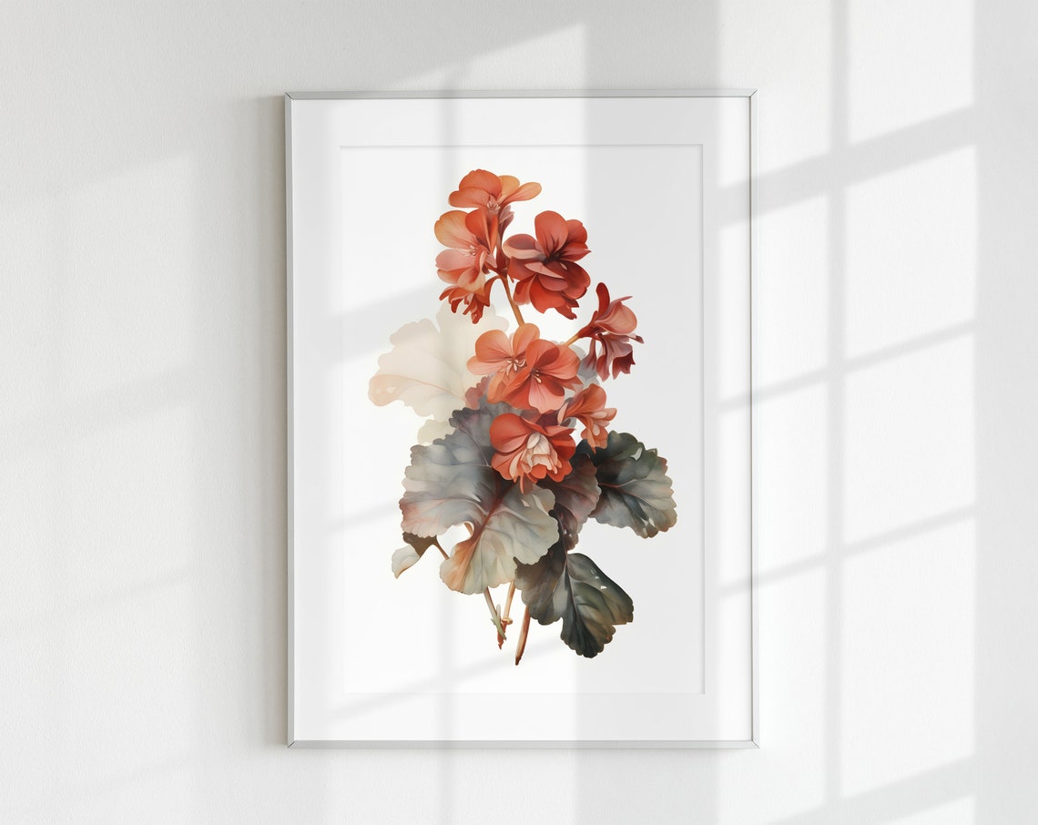 Begonia Bloom Vintage Style Botanical Flower Illustration Art Print